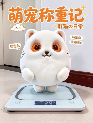鱼丸猫称体重藏小心思